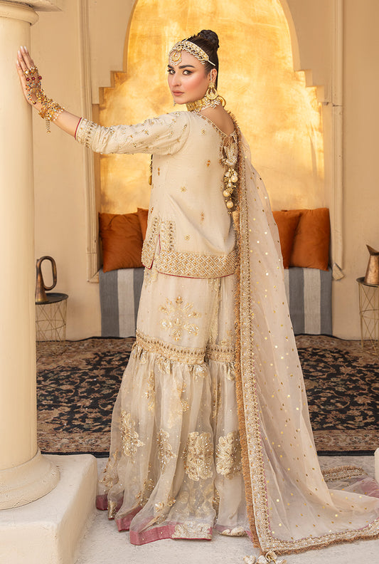 Noor-E-Nikkah  NG-104